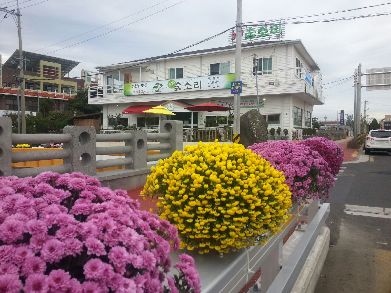 141031_gonaechon134859.jpeg